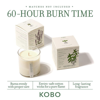 KOBO Sweet Sunflower Candle with Plantable Box (9 oz) | Plant The Box Collection | 100% Pure Soy Wax