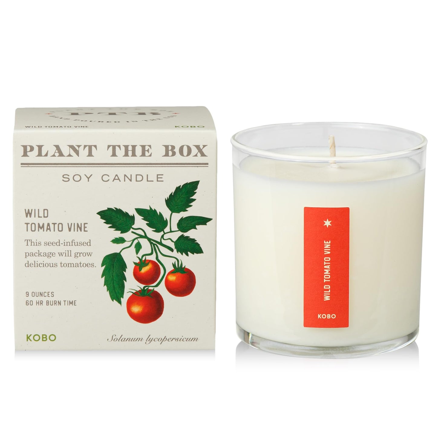 KOBO Wild Tomato Vine Candle | Plantable Box | 9 oz Soy Wax