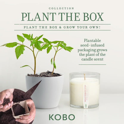KOBO Wild Tomato Vine Candle | Plantable Box | 9 oz Soy Wax