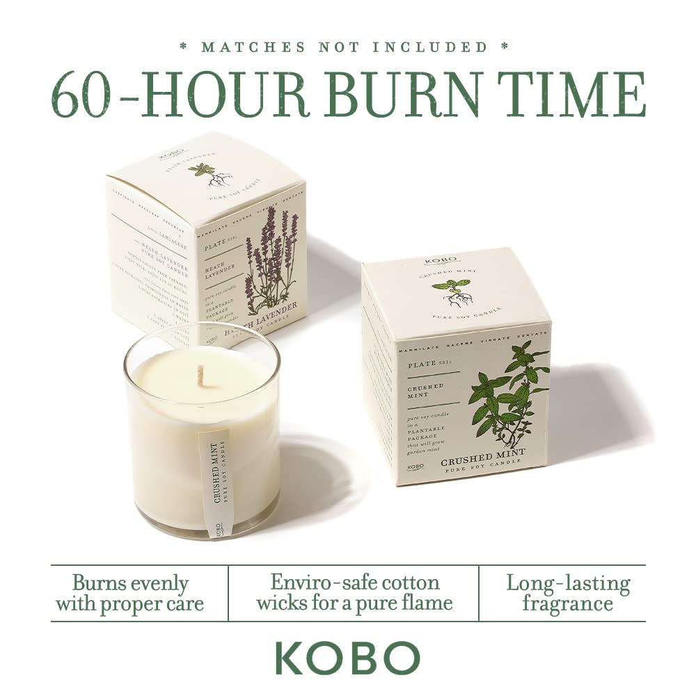 KOBO Wild Tomato Vine Candle | Plantable Box | 9 oz Soy Wax