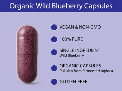 KOYAH Organic Wild Blueberry Capsules – Freeze-Dried Lowbush (Vaccinium angustifolium) – 60 Capsules | Cognitive Support