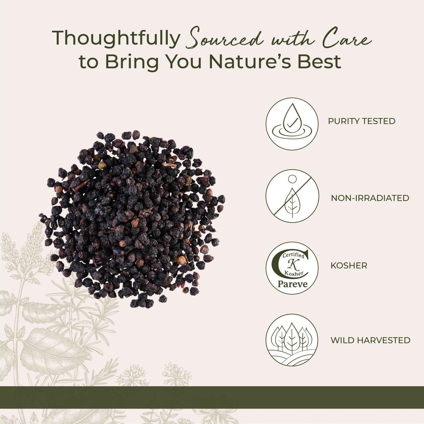 Starwest Botanicals Whole Elderberries - Dried, Kosher, Wildcrafted (1 lb Bulk)