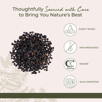 Starwest Botanicals Whole Elderberries - Dried, Kosher, Wildcrafted (1 lb Bulk)