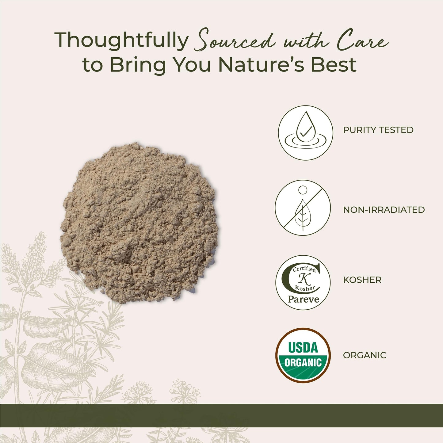 Starwest Organic Marshmallow Root Powder - 1 lb | Kosher, Non-GMO