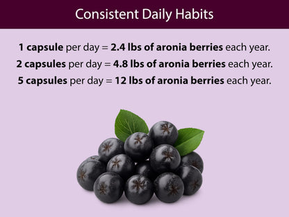 KOYAH Organic Aronia Berry Capsules | Freeze-Dried Whole-Berry 600 mg | Vegan, Gluten-Free, Non-GMO | 60 Caps