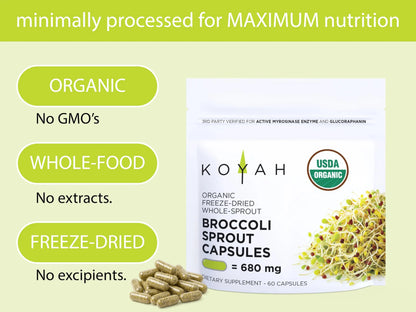 KOYAH Organic Broccoli Sprout Capsules – Freeze-Dried Whole Sprouts, Active Myrosinase & Glucoraphanin, USA Grown, 150 Capsules BritishVita | Premium UK Vitamins & Wellness Supplements