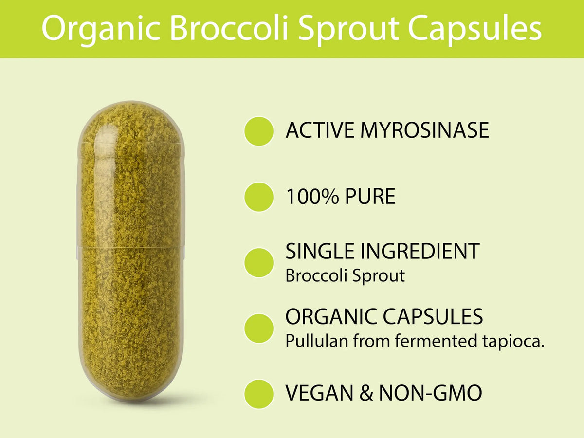KOYAH Organic Broccoli Sprout Capsules – Freeze-Dried Whole Sprouts, Active Myrosinase & Glucoraphanin, USA Grown, 150 Capsules BritishVita | Premium UK Vitamins & Wellness Supplements
