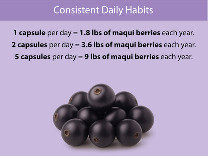 KOYAH Organic Maqui Berry Capsules – Freeze-Dried, 600 mg, 60 Capsules | Vegan, Gluten-Free, Non-GMO