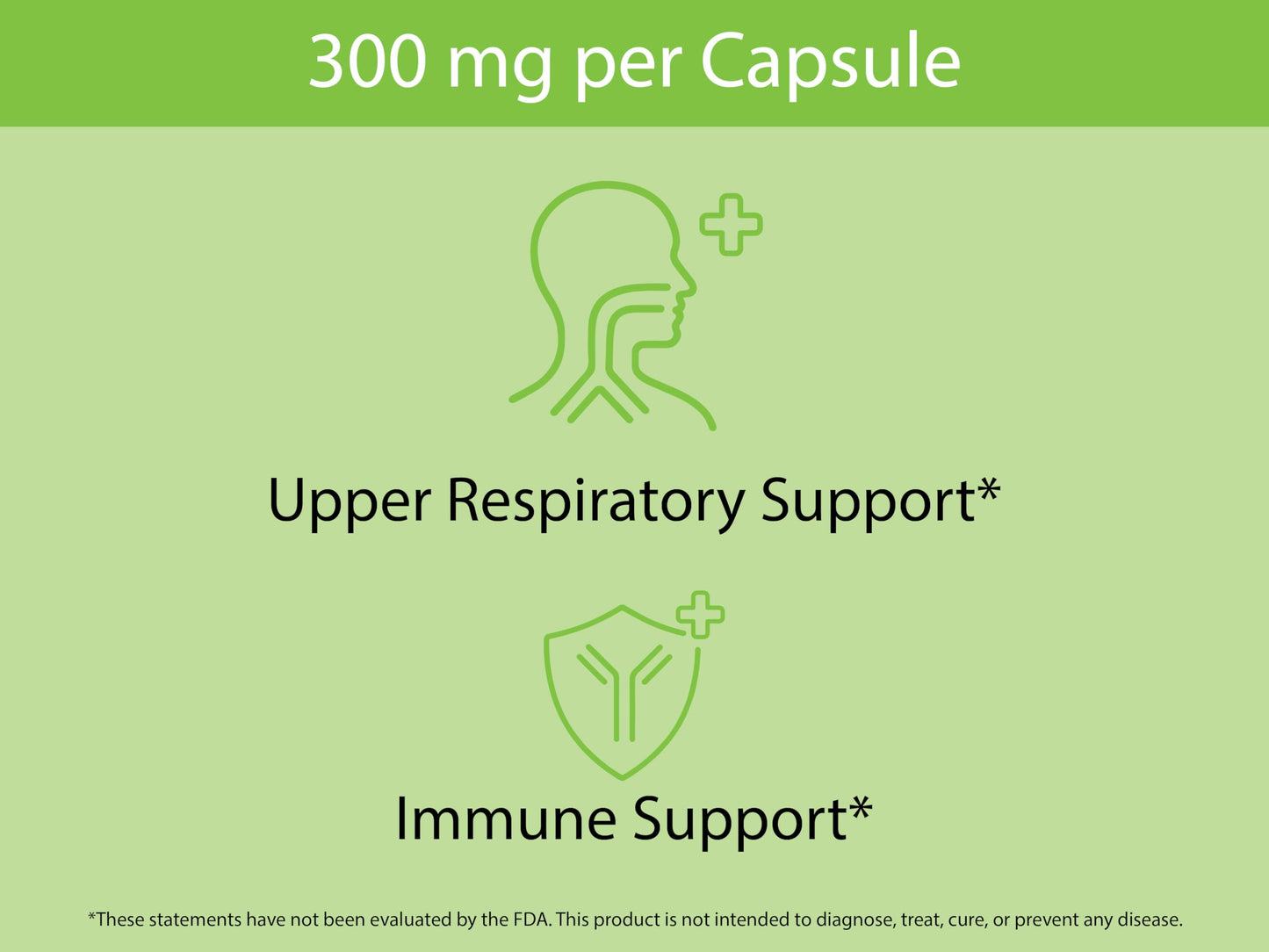 KOYAH Organic Stinging Nettle Leaf Capsules – Freeze-Dried 300 mg (2,400 mg Fresh) – Immune & Respiratory Support – 60 Capsules