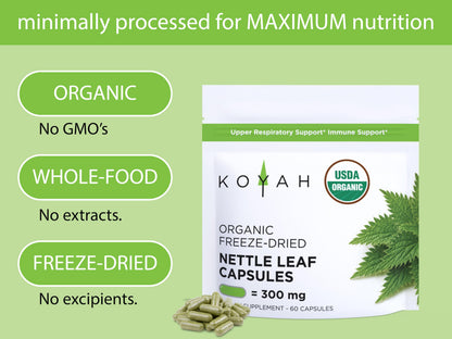 KOYAH Organic Stinging Nettle Leaf Capsules – Freeze-Dried 300 mg (2,400 mg Fresh) – Immune & Respiratory Support – 60 Capsules