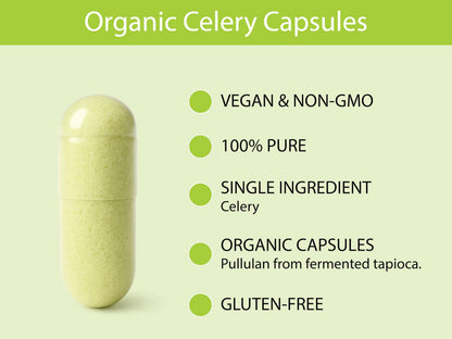 KOYAH Organic Celery Capsules – 200 mg Freeze-Dried Whole-Stalk Powder | 60 Vegan Capsules | USDA Organic