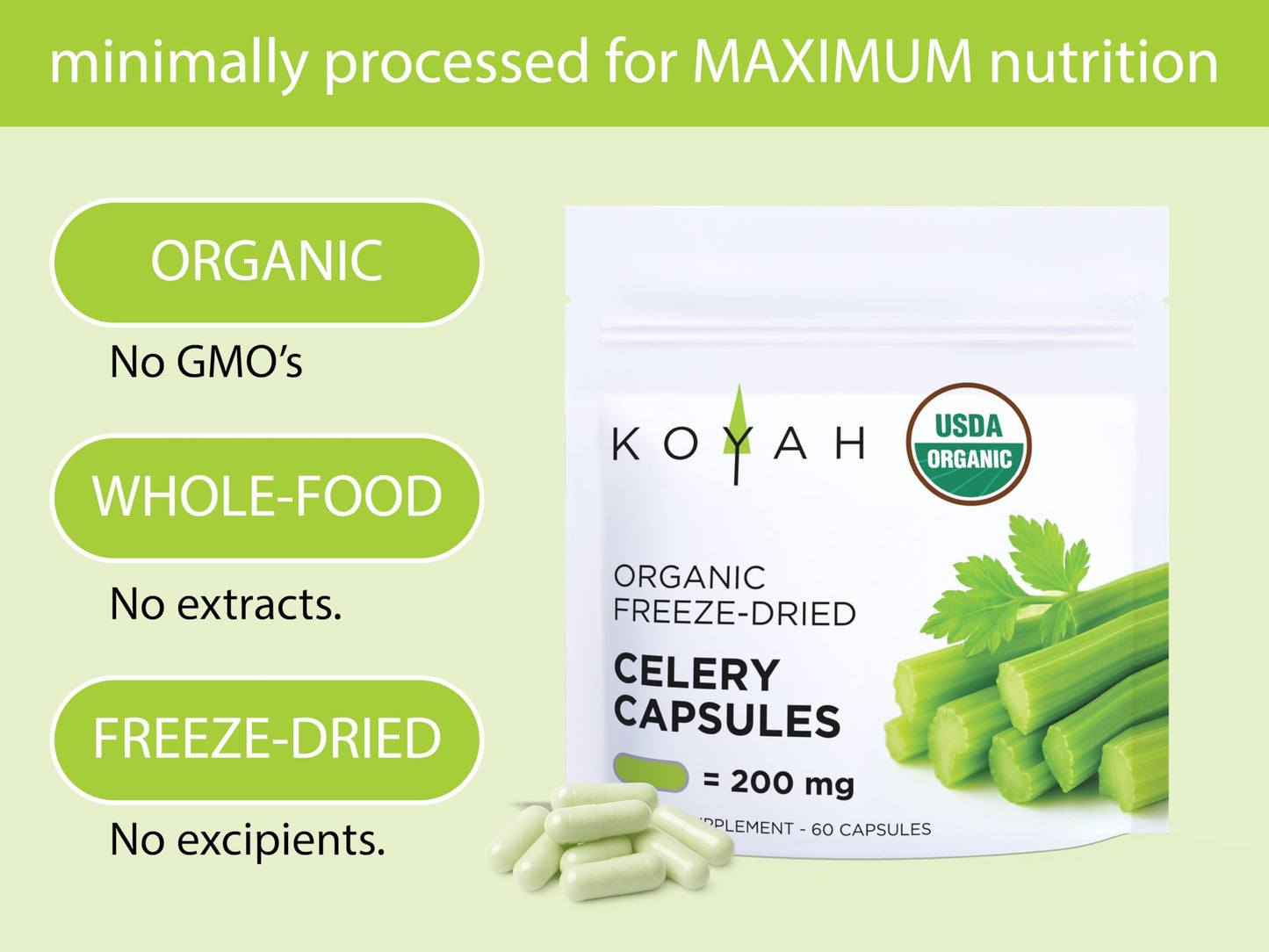 KOYAH Organic Celery Capsules – 200 mg Freeze-Dried Whole-Stalk Powder | 60 Vegan Capsules | USDA Organic