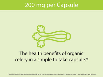 KOYAH Organic Celery Capsules – 200 mg Freeze-Dried Whole-Stalk Powder | 60 Vegan Capsules | USDA Organic