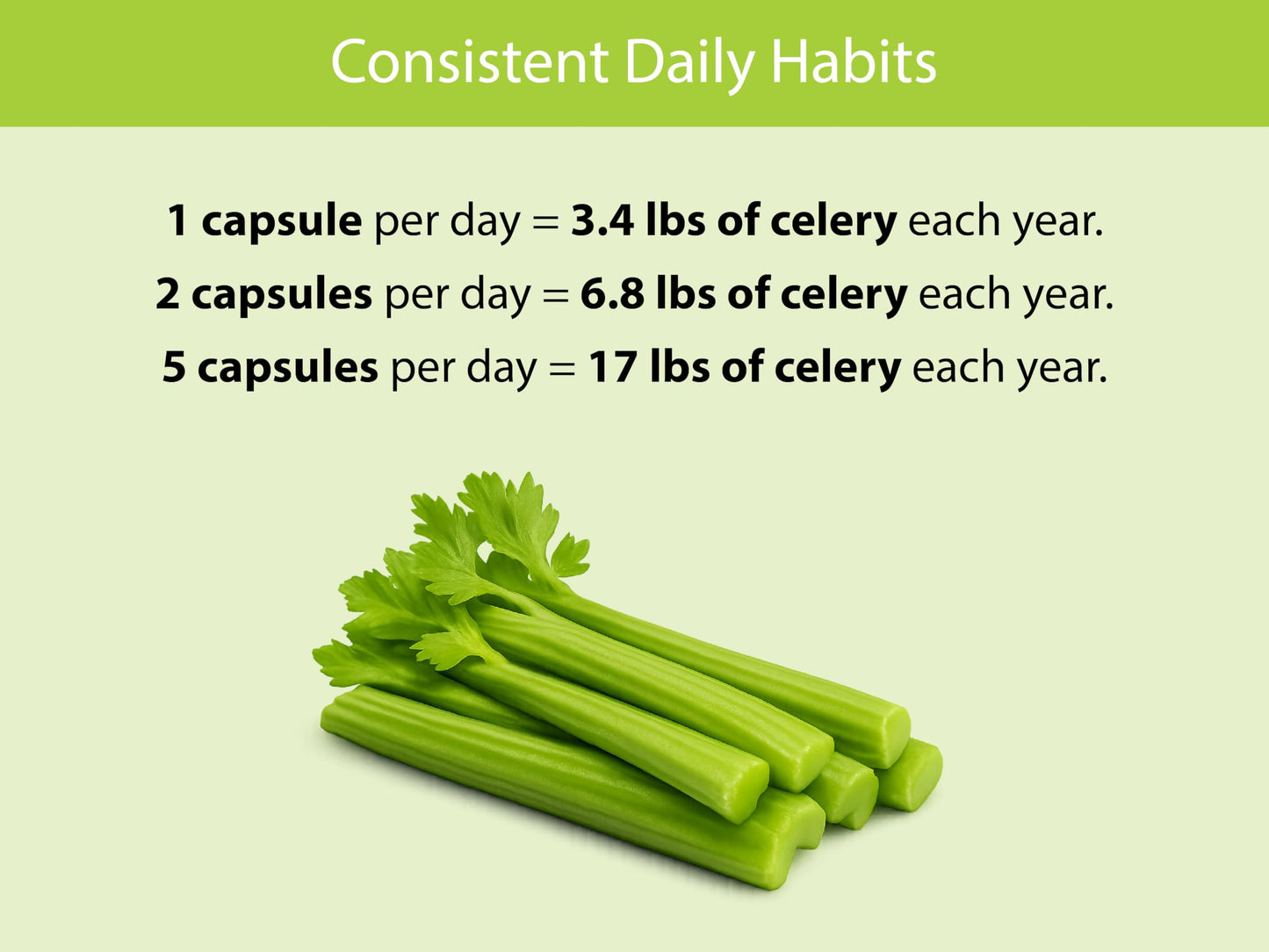 KOYAH Organic Celery Capsules – 200 mg Freeze-Dried Whole-Stalk Powder | 60 Vegan Capsules | USDA Organic