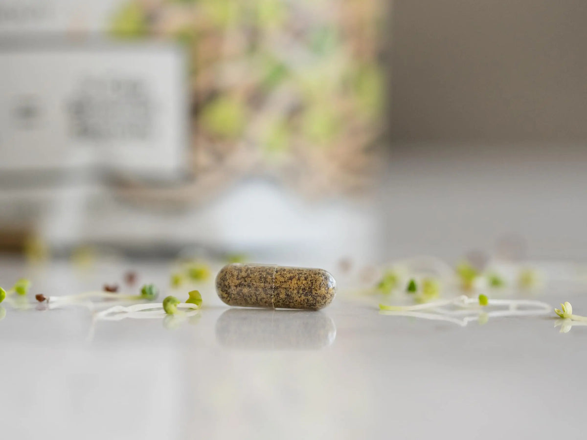 KOYAH Organic Broccoli Sprout Capsules – Freeze-Dried Whole Sprouts, Active Myrosinase & Glucoraphanin, USA Grown, 150 Capsules BritishVita | Premium UK Vitamins & Wellness Supplements