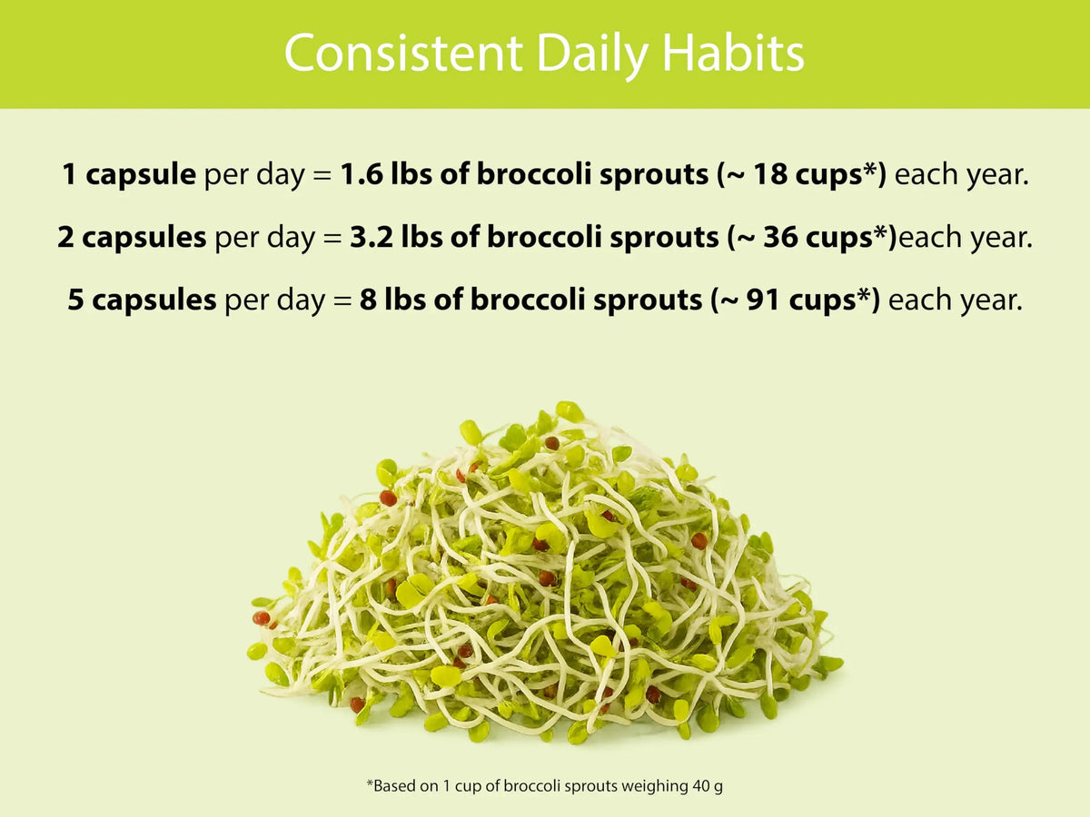 KOYAH Organic Broccoli Sprout Capsules – Freeze-Dried Whole Sprouts, Active Myrosinase & Glucoraphanin, USA Grown, 150 Capsules BritishVita | Premium UK Vitamins & Wellness Supplements