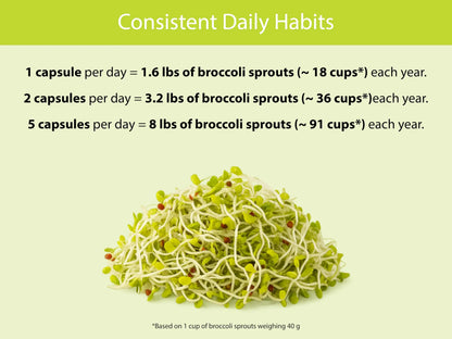 KOYAH Organic Broccoli Sprout Capsules – Freeze-Dried Whole Sprouts, Active Myrosinase & Glucoraphanin, USA Grown, 150 Capsules BritishVita | Premium UK Vitamins & Wellness Supplements