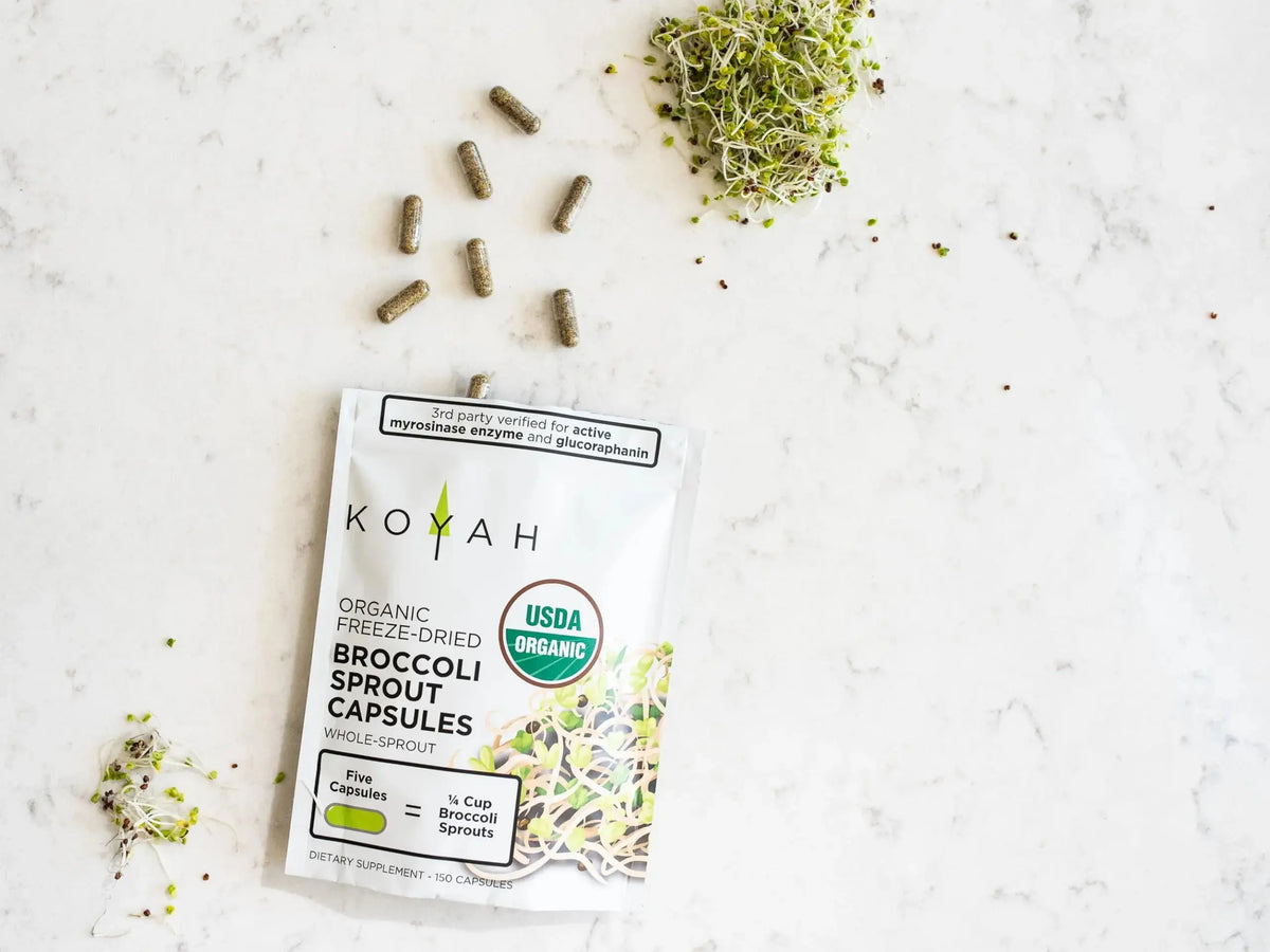 KOYAH Organic Broccoli Sprout Capsules – Freeze-Dried Whole Sprouts, Active Myrosinase & Glucoraphanin, USA Grown, 150 Capsules BritishVita | Premium UK Vitamins & Wellness Supplements