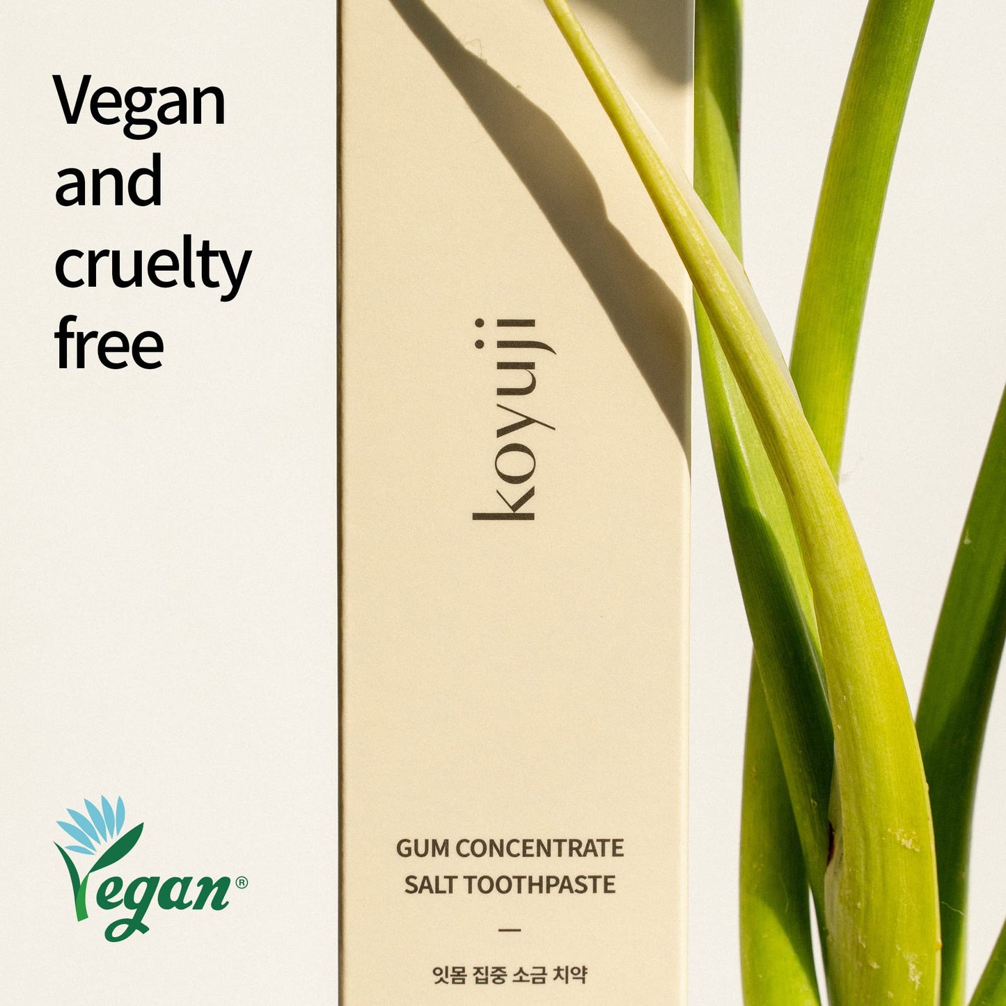 Koyuji Toothpaste - Natural, Fluoride Free, SLS Free, Foamless, Vegan Gum Health (4.23 Fl Oz Pack of 3) | Gum Care Salt