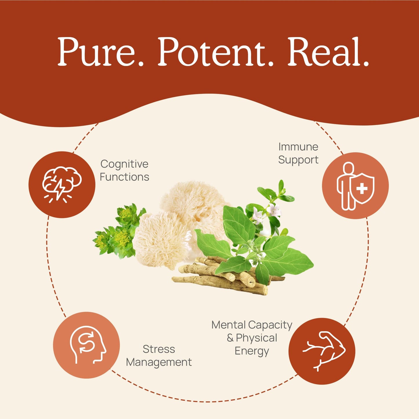 Real Mushrooms RealClarity Capsules – Lion’s Mane, KSM-66 Ashwagandha, Cordyceps & Reishi | Mental Sharpness & Adaptogenic Support | 60 Count – Vegan, Non-GMO