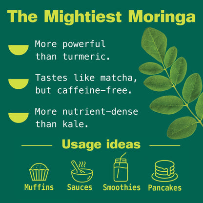 Kuli Kuli Moringa Oleifera Organic Powder – Pure, USDA Certified, Non-GMO Moringa for Smoothies, Tea & Food (10.6 oz)