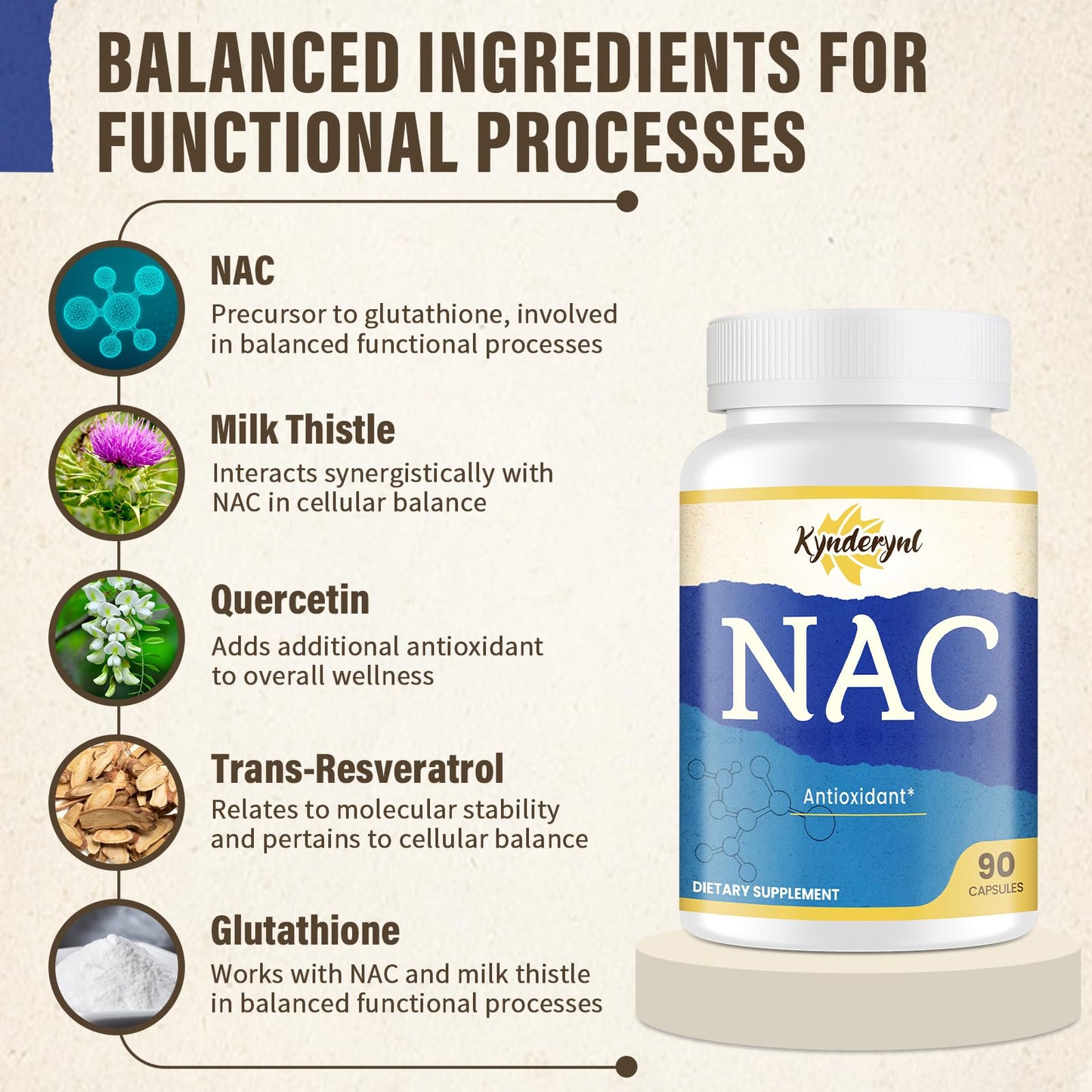 Kynderynl NAC Supplement 1000mg - High-Dose NAC + Milk Thistle, Quercetin, Resveratrol, Glutathione - Antioxidant Formula - 90 Vegan Capsules -2P