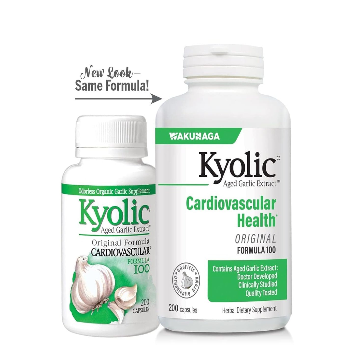 Kyolic Aged Garlic Extract Formula 100 | Cardiovascular Health