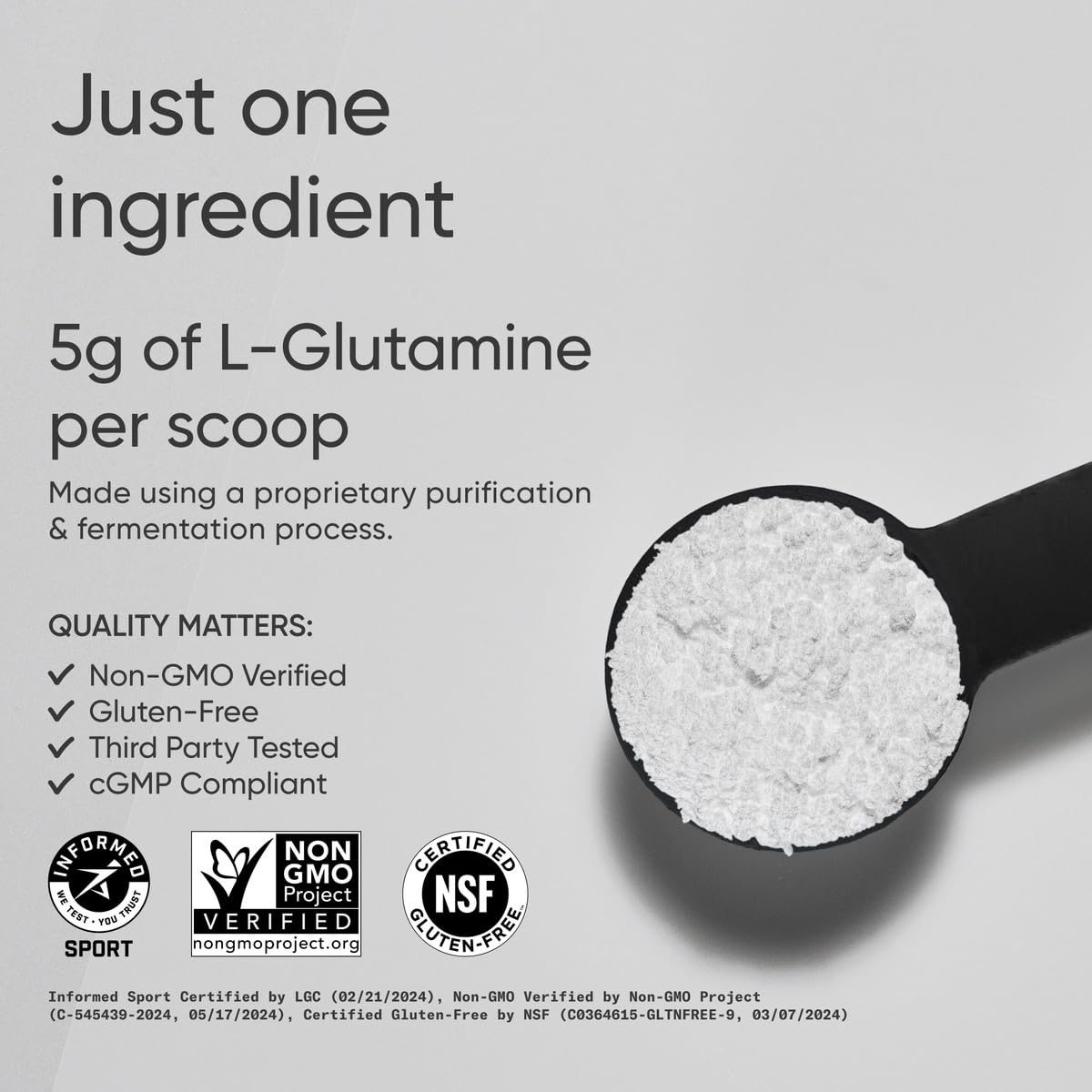 Sports Research L-Glutamine - 5 g Per Serving | Workout Recovery, Gut & Immune Health - 10.58 oz