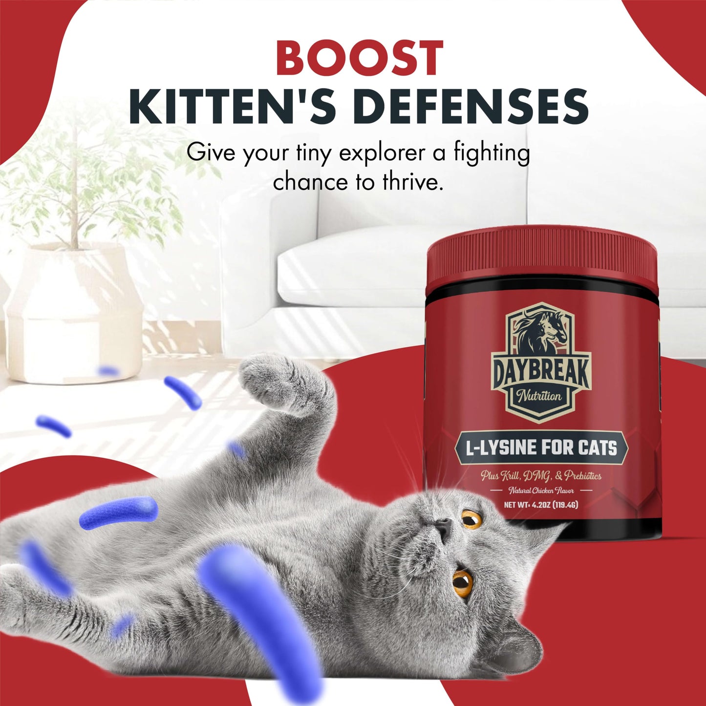 L-Lysine for Cats & Kittens - 900 mg Powder for Immunity & Respiratory Support