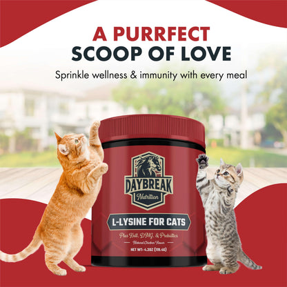 L-Lysine for Cats & Kittens - 900 mg Powder for Immunity & Respiratory Support
