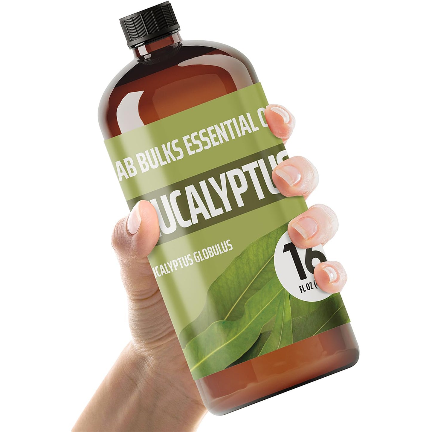 Lab Bulks Eucalyptus Essential Oil 16 oz (473 ml) for Diffusers, Home Care, Candles, Aromatherapy, Candle Making