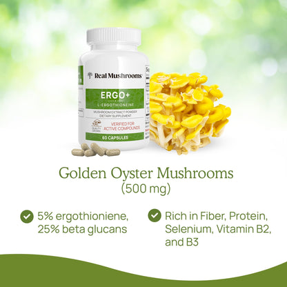 Real Mushrooms Ergothioneine Supplement – Golden Oyster Mushroom Extract, 60 Capsules – Organic, Vegan, Non-GMO
