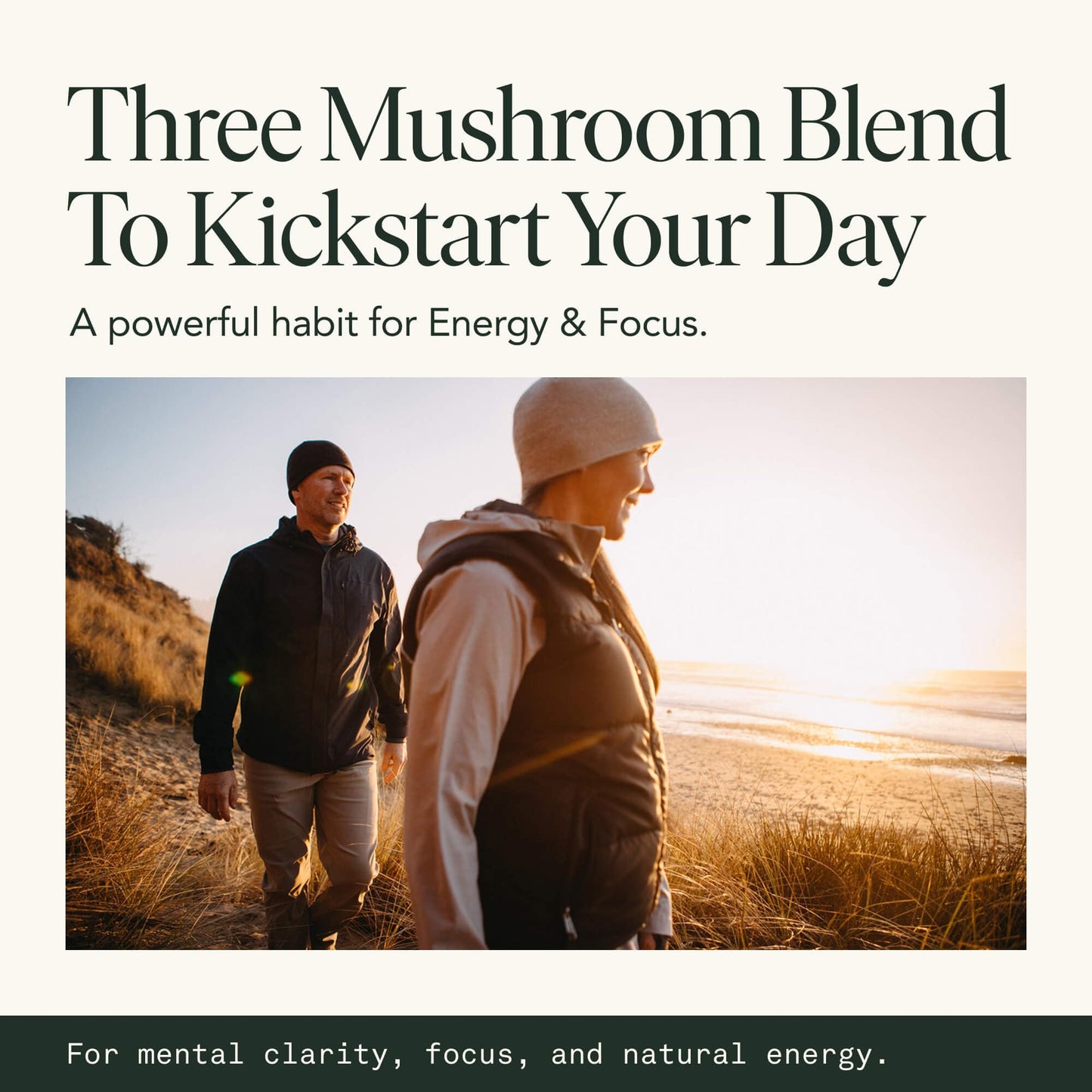 Mushroom Supplement with Lions Mane, Chaga & Cordyceps – USDA Organic, Vegan, 120 Caps (2-Month Supply)