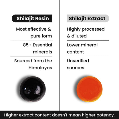 Pure Himalayan Shilajit Gummies – 60 Count | 75%+ Fulvic Acid | Energy & Immune Support | Tamarind Flavor