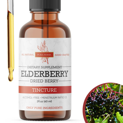 Elderberry Tincture – Organic Elderberry Extract | Immune Support | Alcohol-Free 2 fl oz