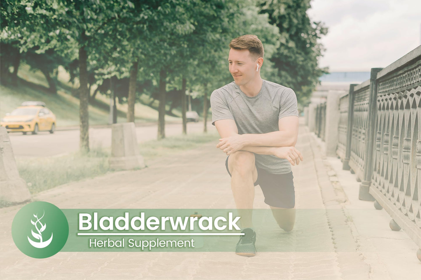 Bladderwrack Capsules – Pure Original Ingredients, 100 Count, Lab Verified