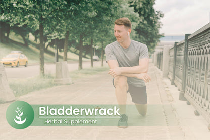Bladderwrack Capsules – Pure Original Ingredients, 100 Count, Lab Verified