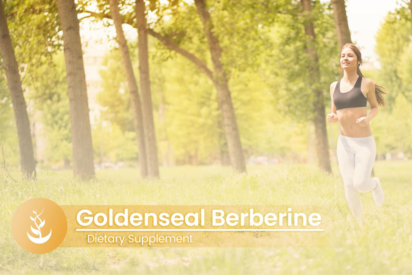 Pure Goldenseal Berberine Capsules - 100 Count, No Additives, Lab Verified
