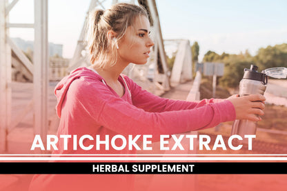 Artichoke Extract Capsules – Pure Original Ingredients, 730 Caps, No Fillers, Lab Verified