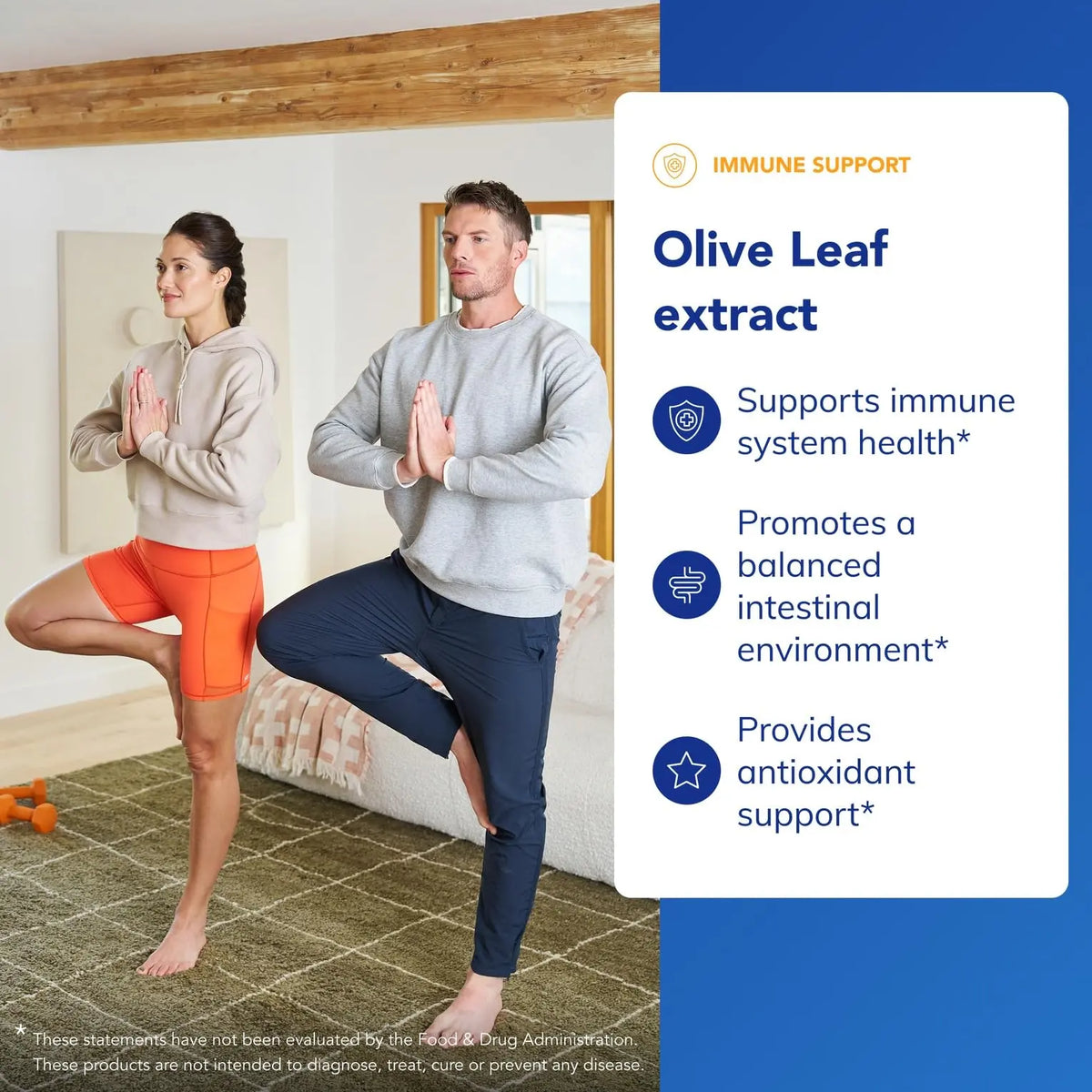 Pure Encapsulations Olive Leaf Extract – Hypoallergenic Immune Support, 60 Capsules BritishVita | Premium UK Vitamins & Wellness Supplements