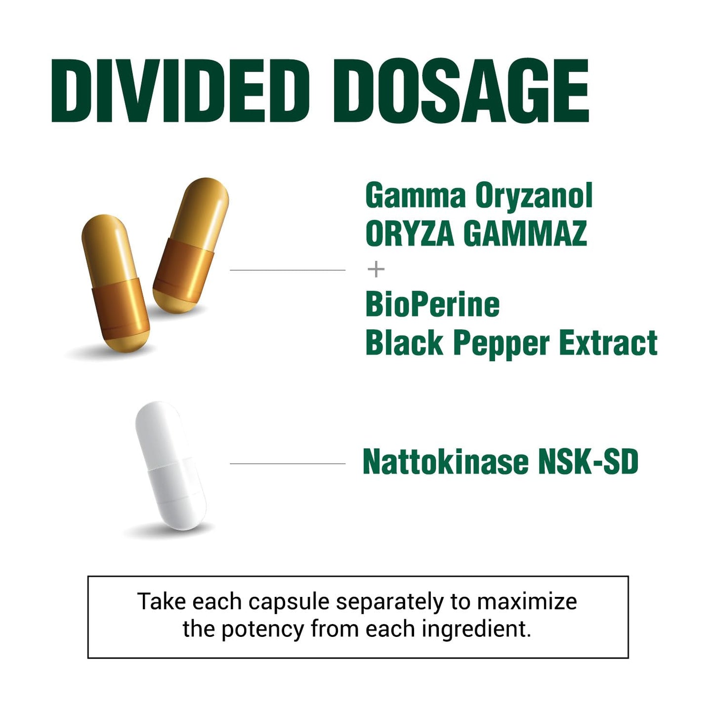 LABO Nutrition VesseCLEAR CX: Nattokinase NSK-SD + Gamma Oryzanol