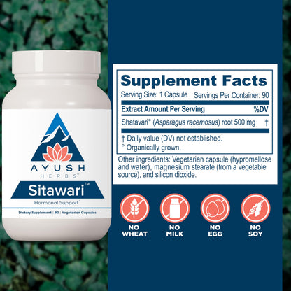 Ayush Herbs Sitawari Shatavari Capsules for Women – Hormone Balance & Reproductive Support (90 Veg Capsules)