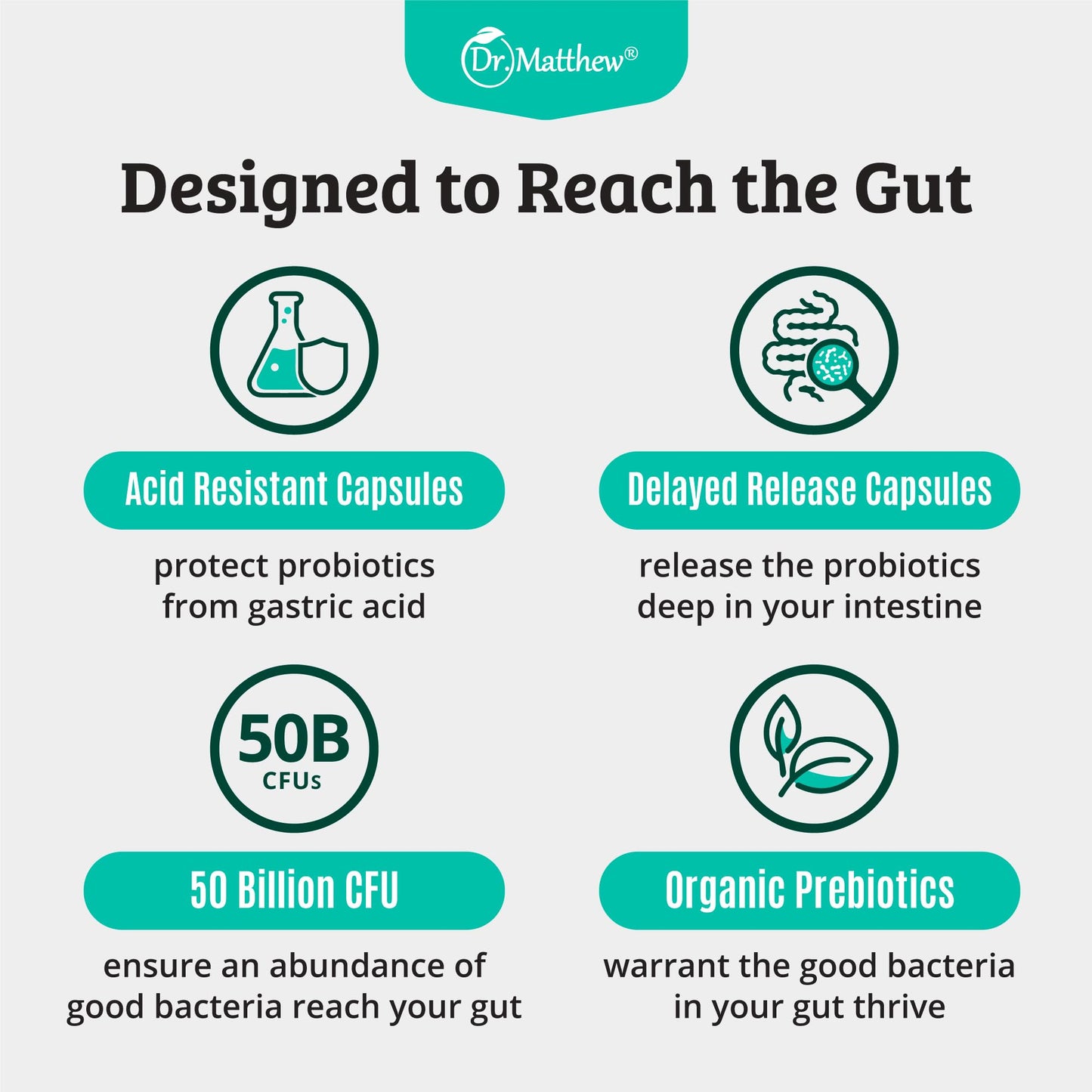Prebiotics & Probiotics for Digestive Health | 15 Strains, 50B CFU