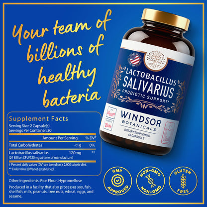 Lactobacillus Salivarius Probiotic 24bn CFU for Teeth & Gums - Bad Breath, Immune & Digestive Health - 60 Capsules