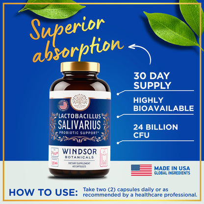 Lactobacillus Salivarius Probiotic 24bn CFU for Teeth & Gums - Bad Breath, Immune & Digestive Health - 60 Capsules