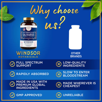Lactobacillus Salivarius Probiotic 24bn CFU for Teeth & Gums - Bad Breath, Immune & Digestive Health - 60 Capsules