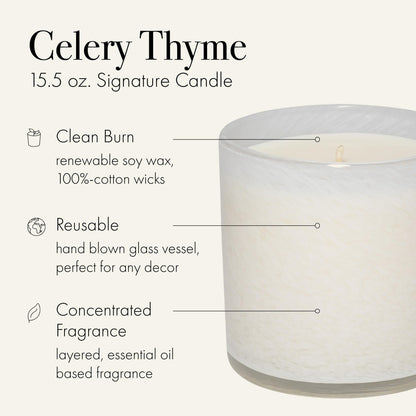 LAFCO New York Signature Candle Celery Thyme – 15.5 oz, 90-Hour Burn, USA Made
