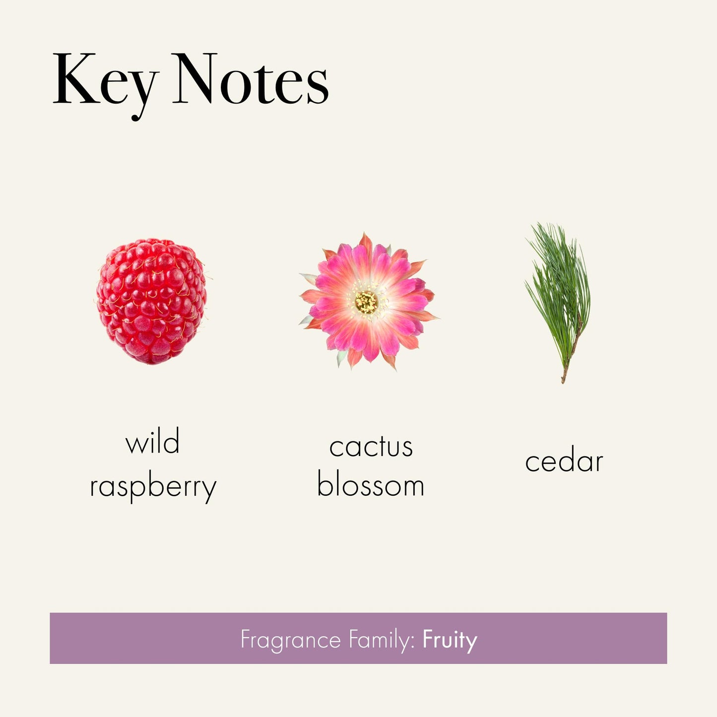LAFCO New York Classic Reed Diffuser Midnight Cactus – 6 oz