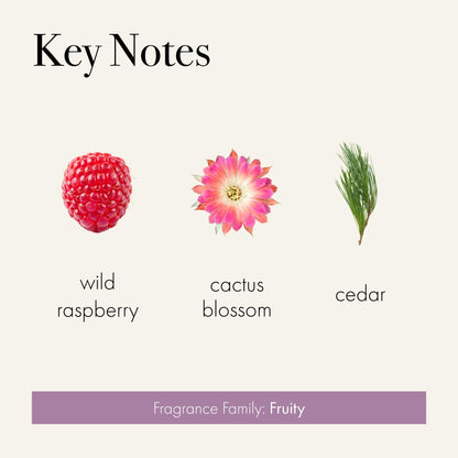 LAFCO New York Classic Reed Diffuser Midnight Cactus – 6 oz