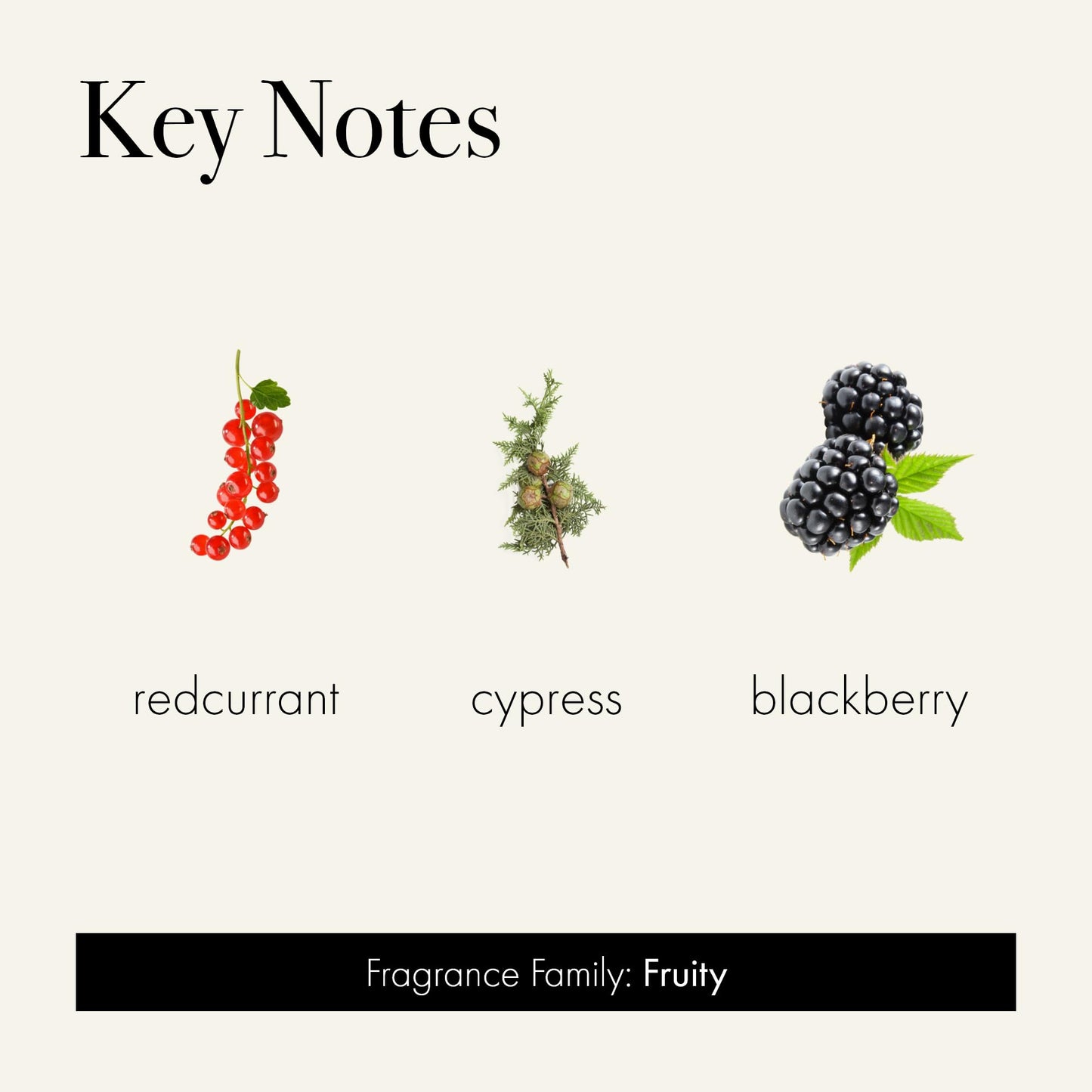 LAFCO New York Holiday Signature Candle Midnight Currant – 15.5oz, 90-Hour Burn, Reusable Glass Vessel